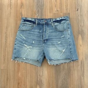 Treasure & Bond Light Blue Distressed Jean Shorts